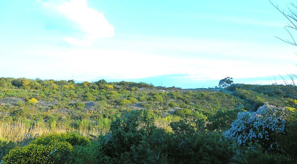 Onrus River Cottage Hermanus Kültér fotó